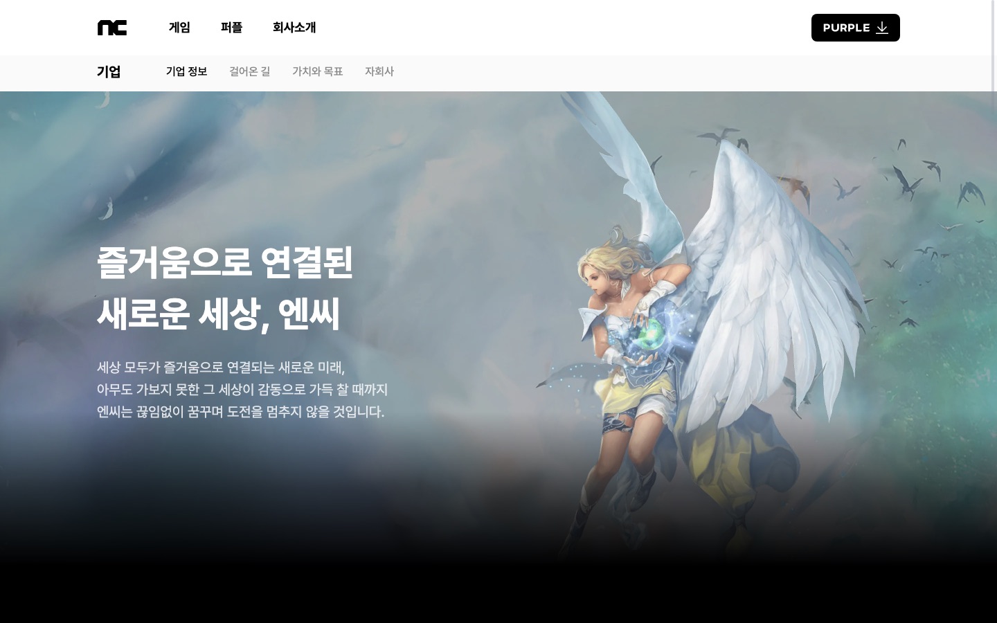 기업 정보 - NC